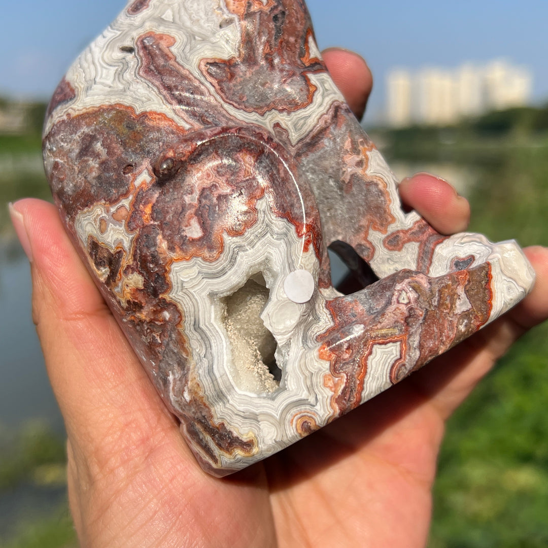 Mexican Agate Sphynx Cat