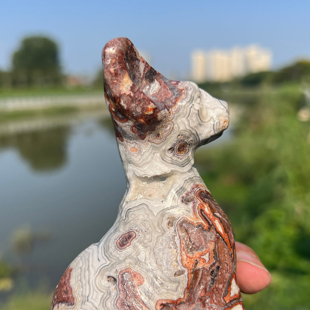 Mexican Agate Sphynx Cat
