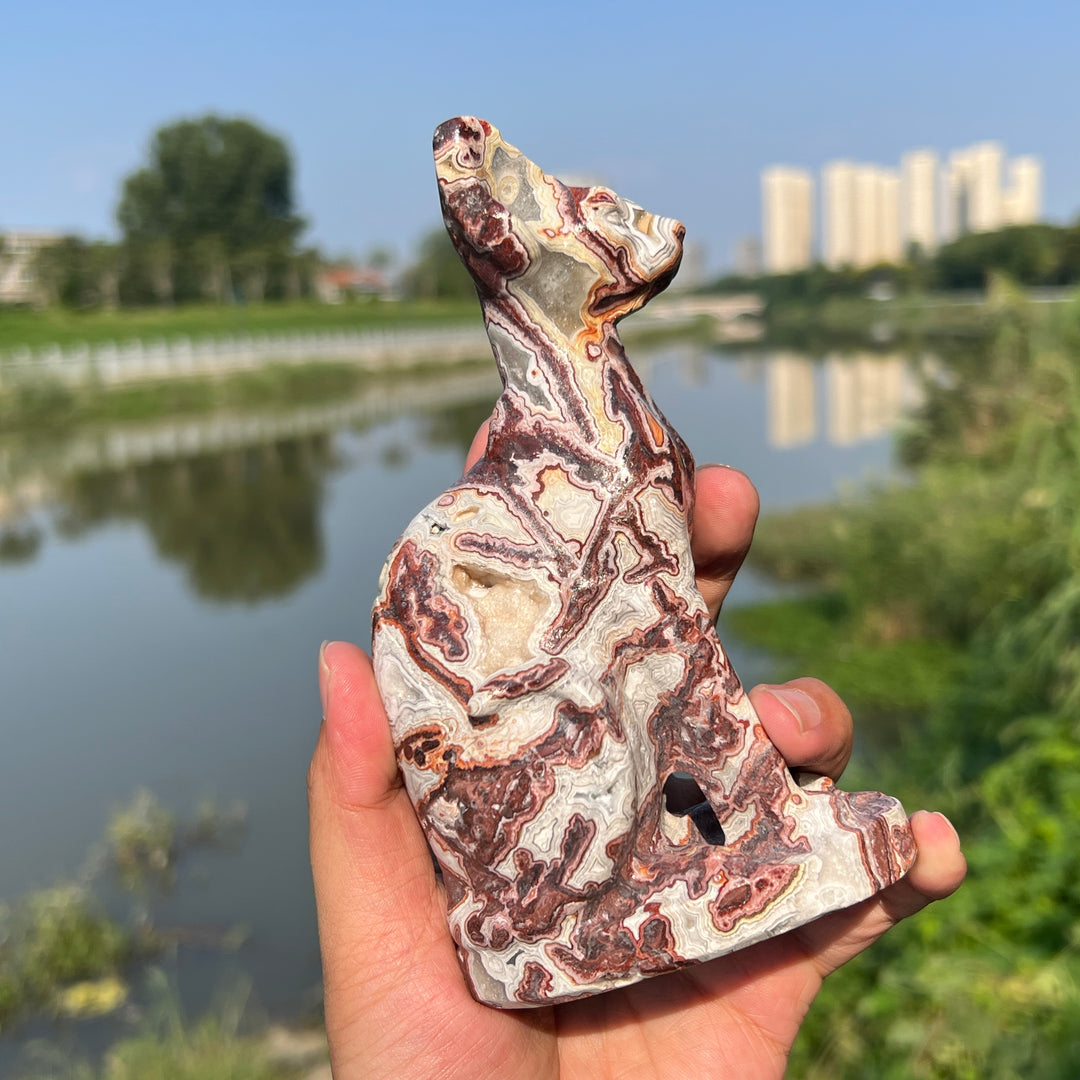 Mexican Agate Sphynx Cat -2