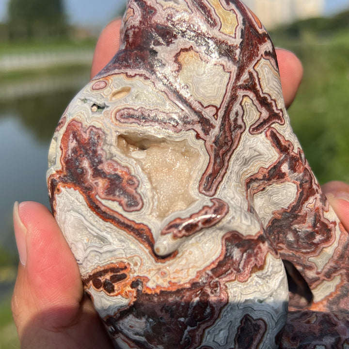 Mexican Agate Sphynx Cat -2