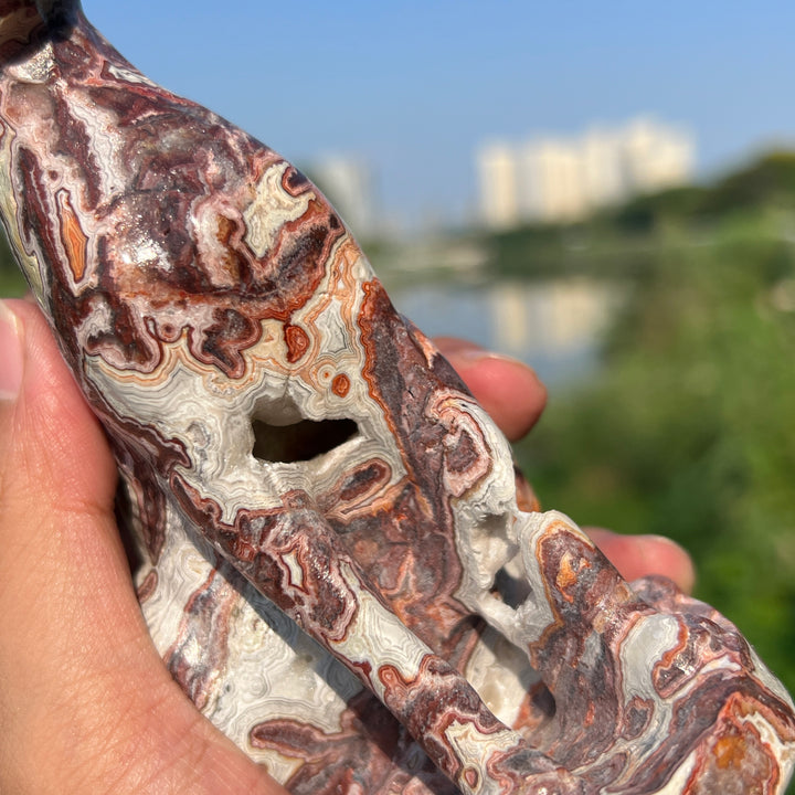Mexican Agate Sphynx Cat -2