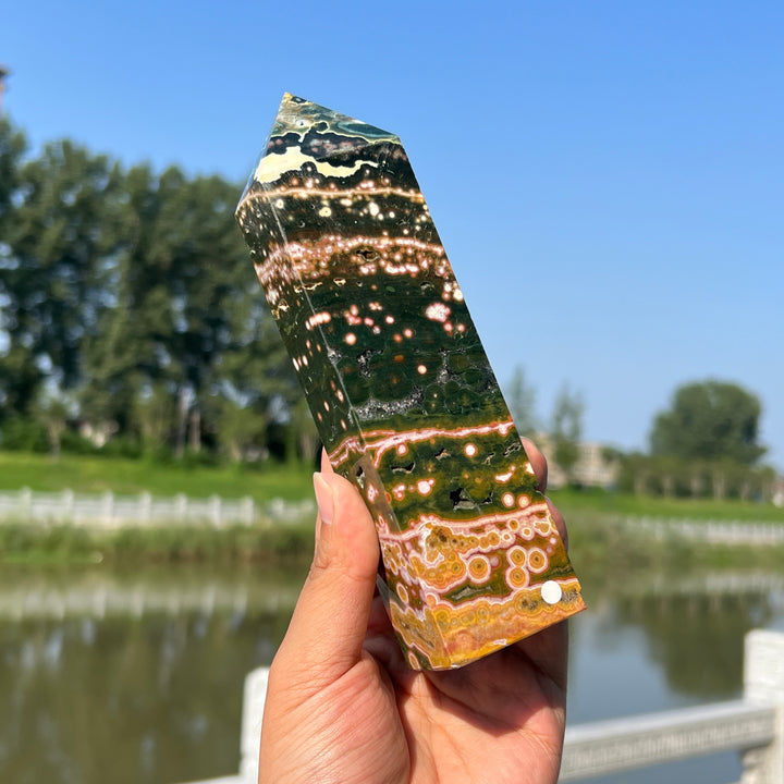 Unique,Ocean Jasper Point