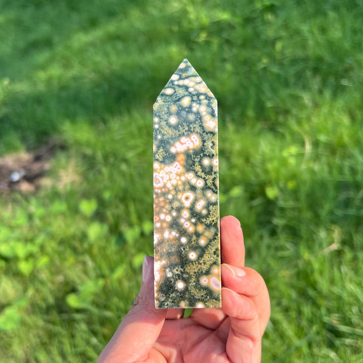 Unique,Ocean Jasper Point