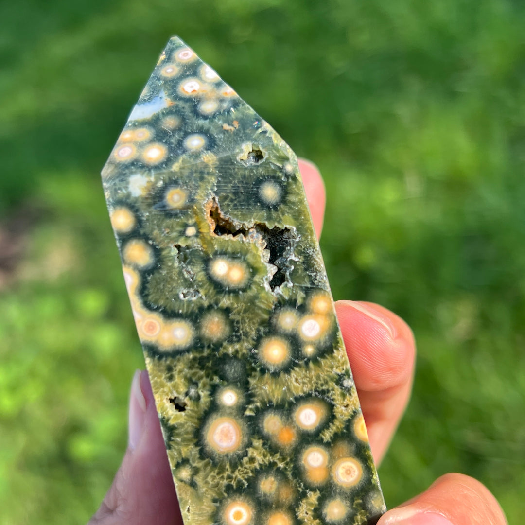 Unique,Ocean Jasper Point