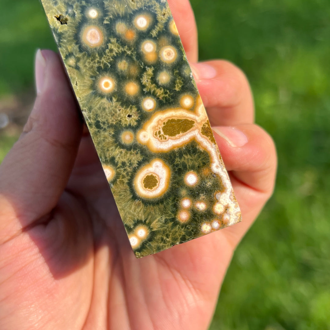 Unique,Ocean Jasper Point