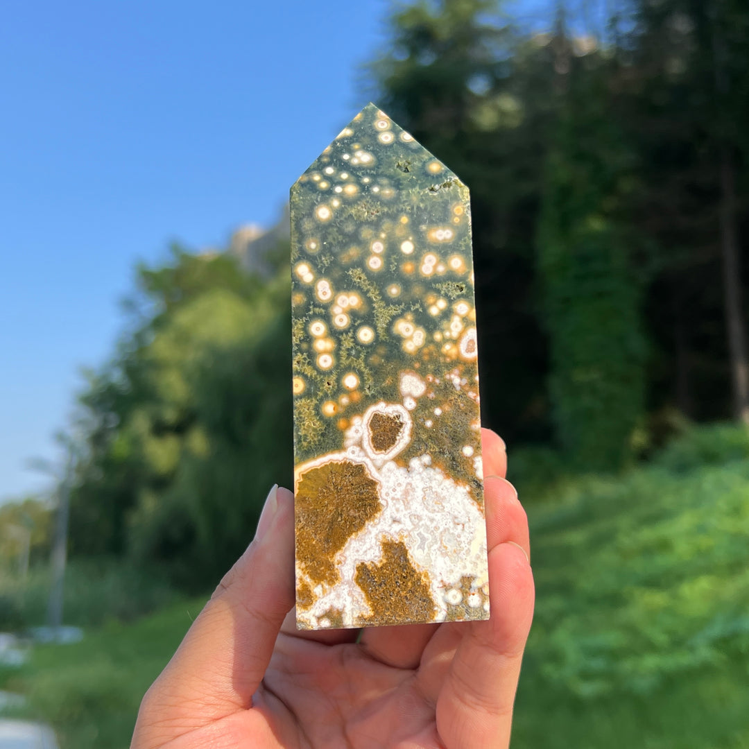 Unique,Ocean Jasper Point