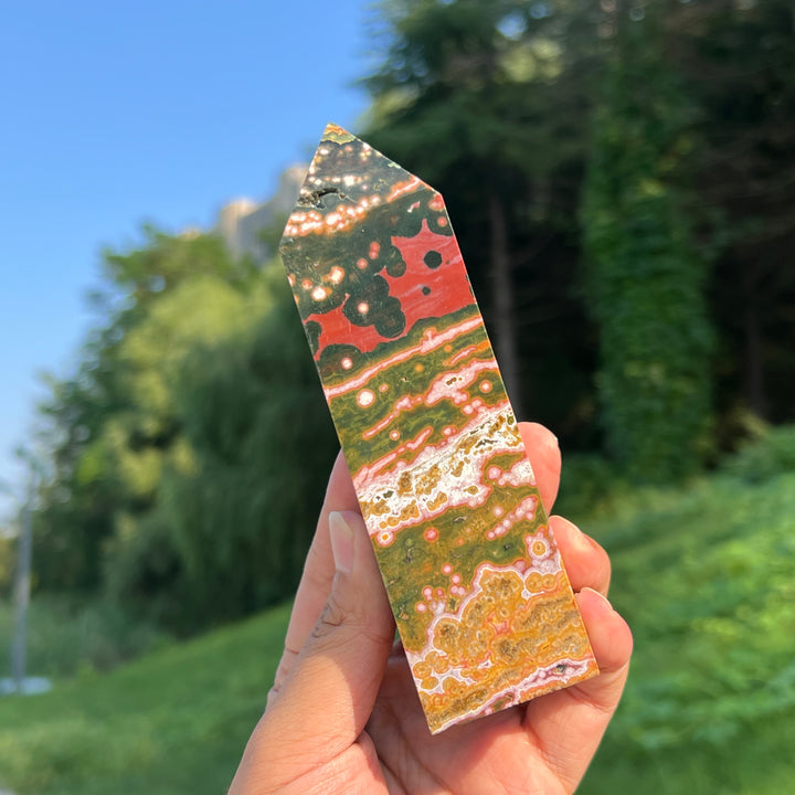 Unique,Ocean Jasper Point