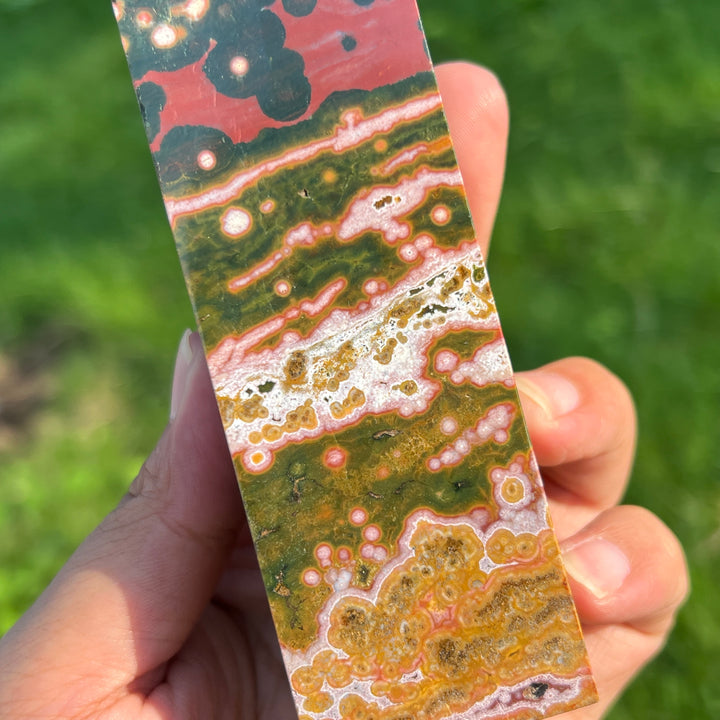 Unique,Ocean Jasper Point
