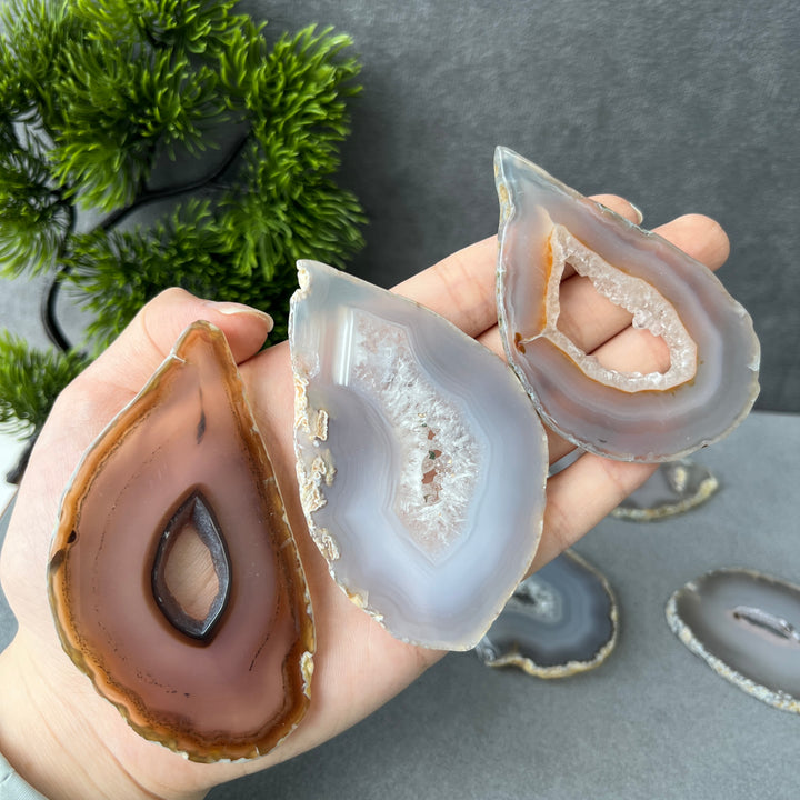 Agate Geode Slice