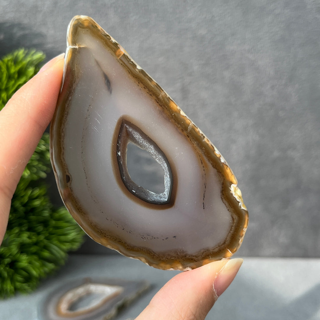 Agate Geode Slice
