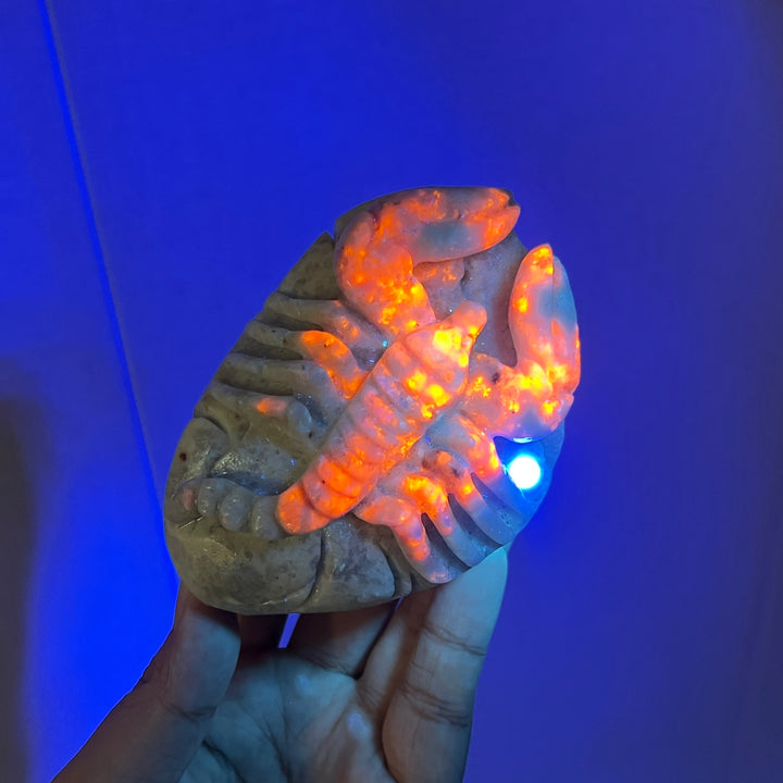 Hackmanite Scorpion