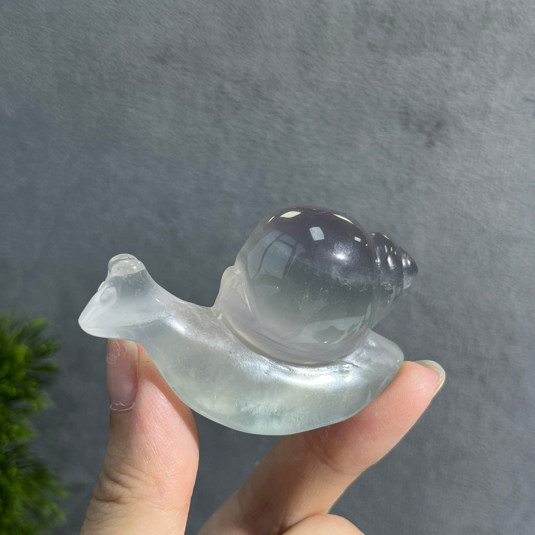 Snail Carving