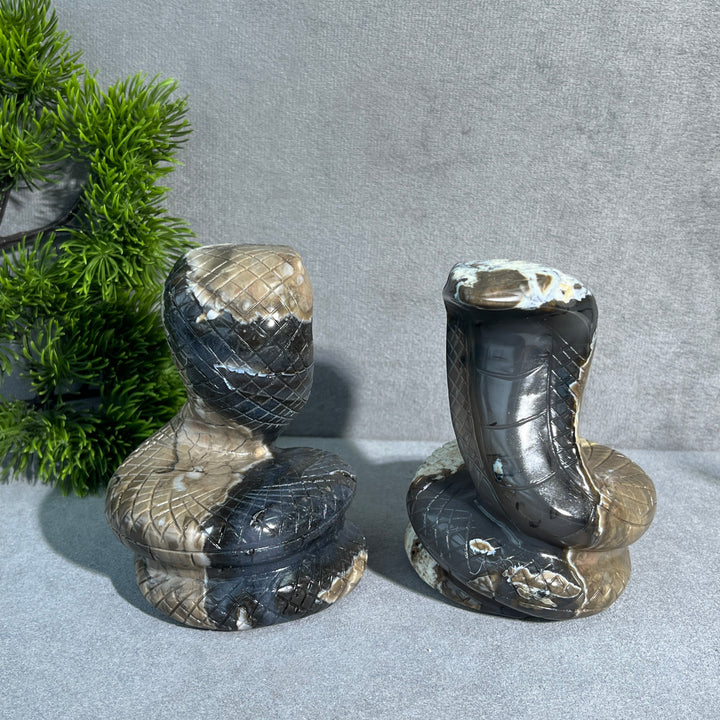 Unique,Volcanic Agate Snake