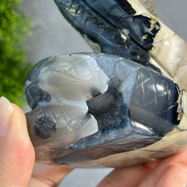 Unique,Volcanic Agate Snake