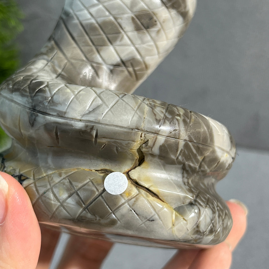 Unique,Volcanic Agate Snake