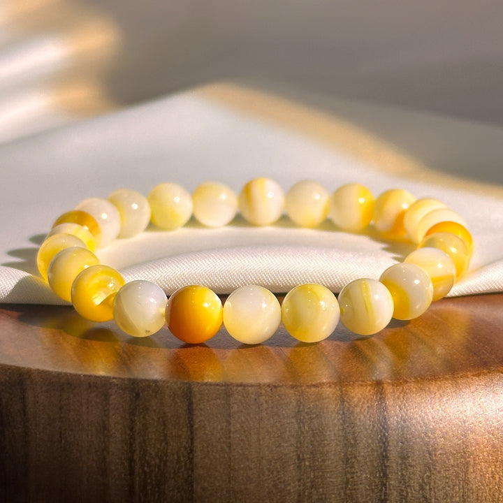 Golden Conch Shell Bracelet 8.0-8.3mm