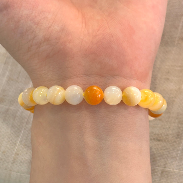 Golden Conch Shell Bracelet 8.0-8.3mm