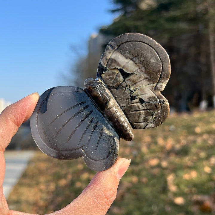 Natural Crystal Carving Volcanic Agate Butterfly