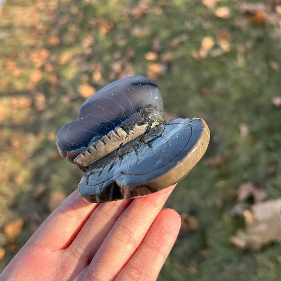 Natural Crystal Carving Volcanic Agate Butterfly