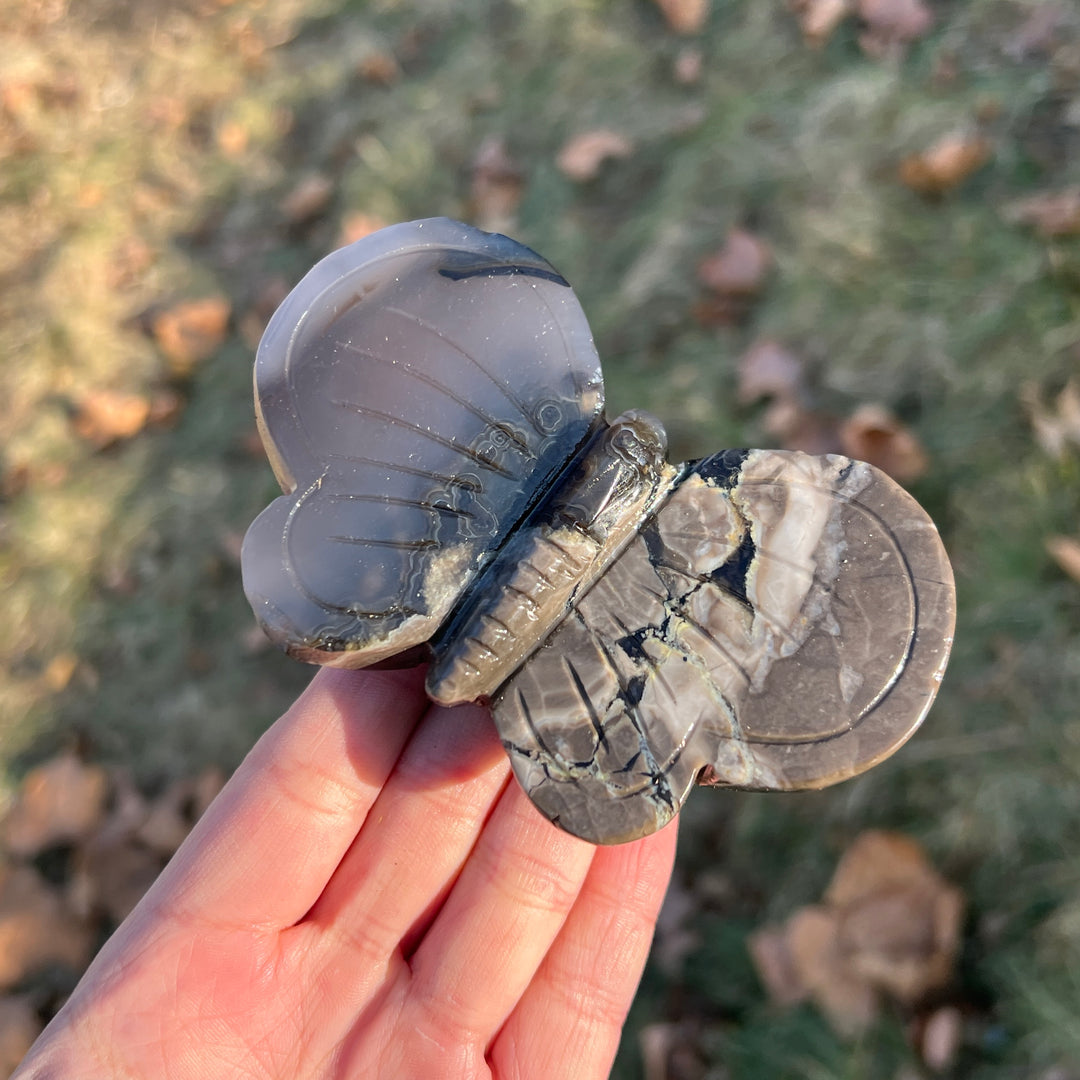 Natural Crystal Carving Volcanic Agate Butterfly