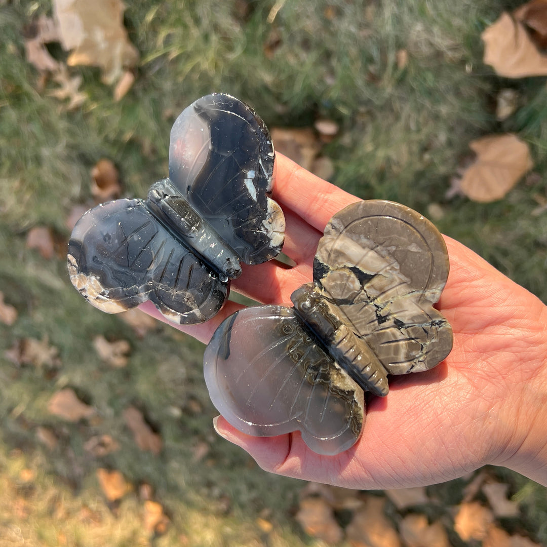 Natural Crystal Carving Volcanic Agate Butterfly