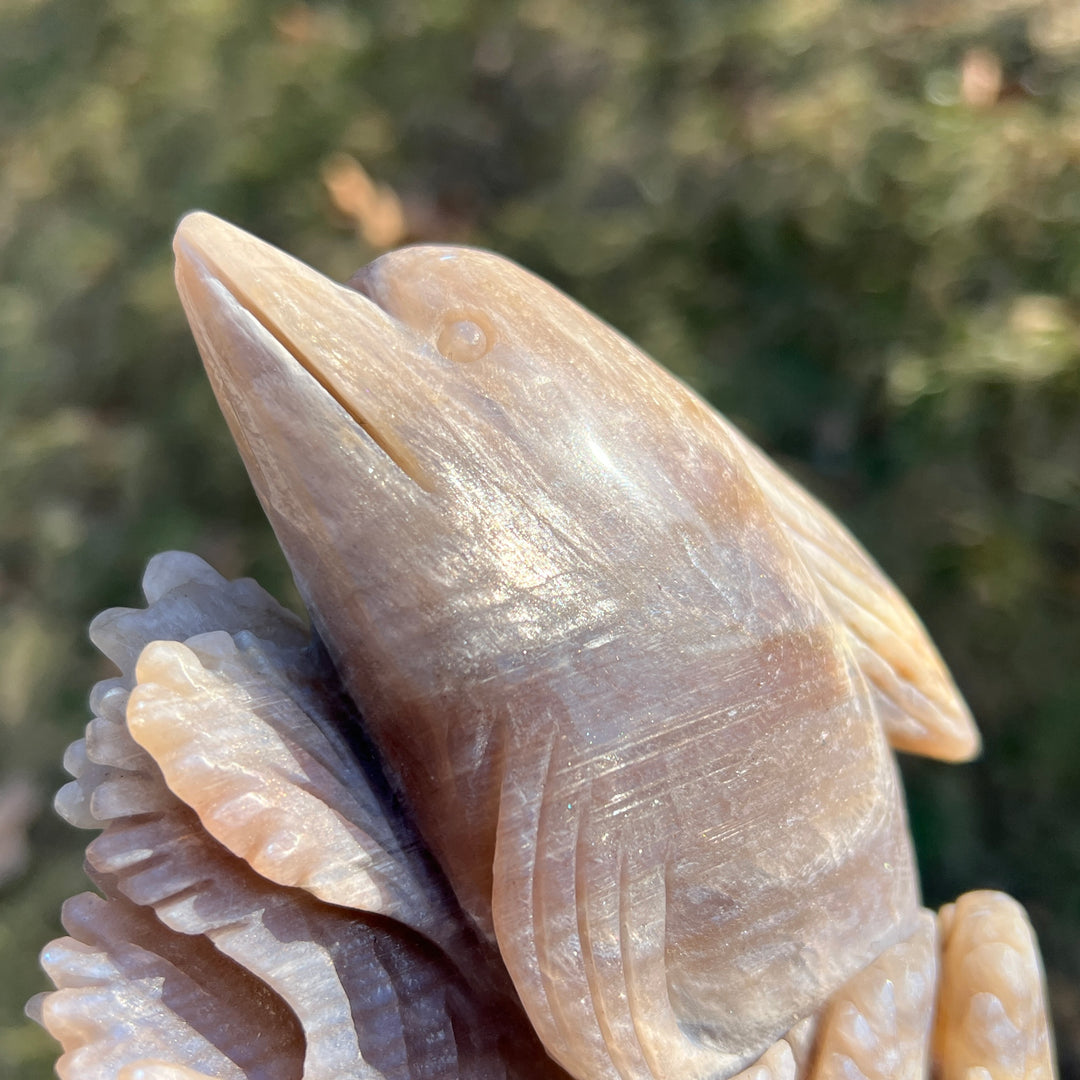 Unique Natural Carving Sunstone-Moonstone Dolphin
