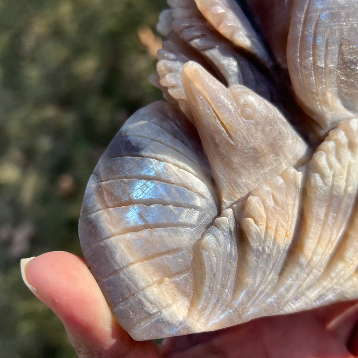 Unique Natural Carving Sunstone-Moonstone Dolphin