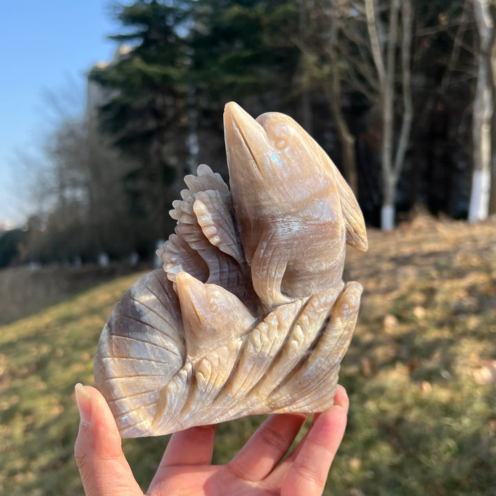 Unique Natural Carving Sunstone-Moonstone Dolphin