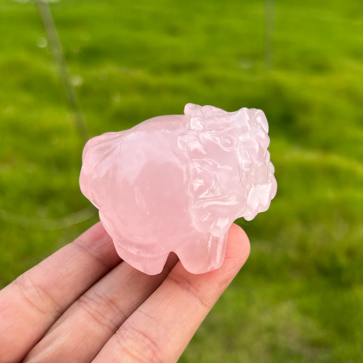 Rose Quartz Dragon Turtle