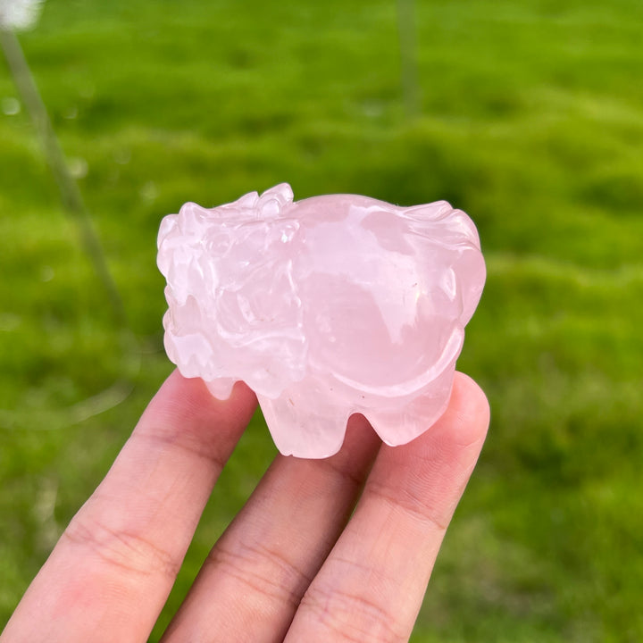 Rose Quartz Dragon Turtle
