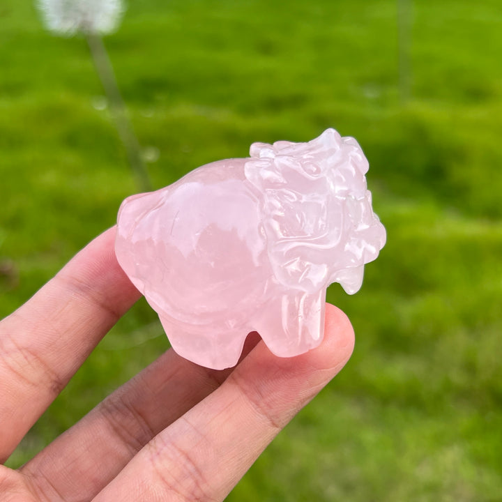 Rose Quartz Dragon Turtle