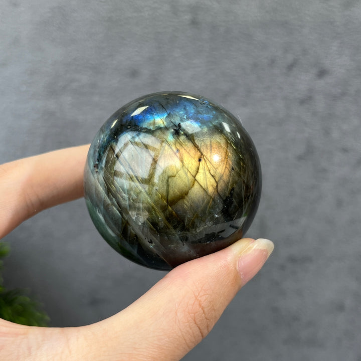 Labradorite Sphere 48~53mm