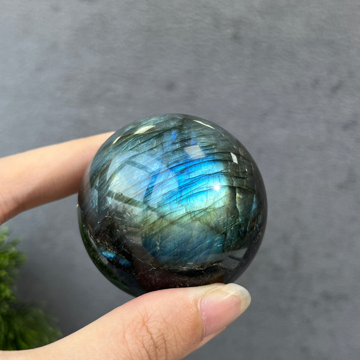 Labradorite Sphere 48~53mm