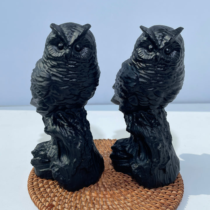 Obsidian Owl
