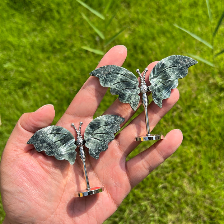 Seraphinite Butterfly Wing