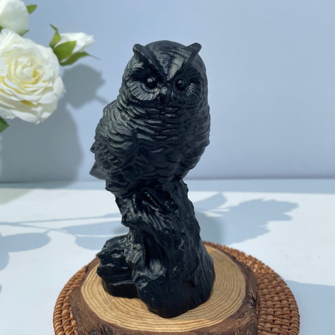 Obsidian Owl