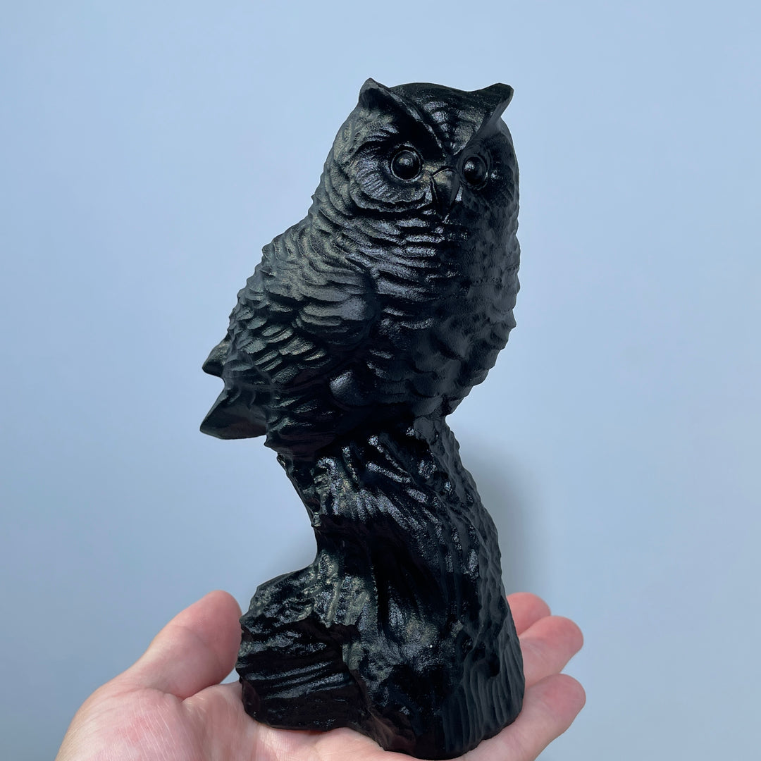 Obsidian Owl