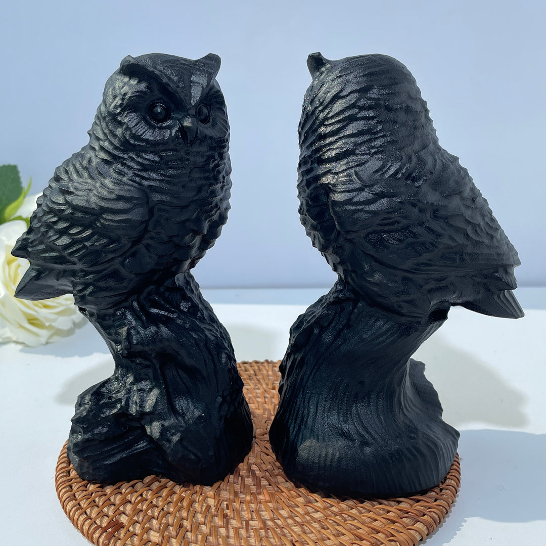 Obsidian Owl