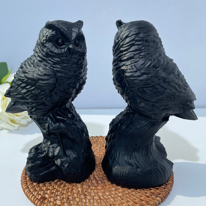 Obsidian Owl