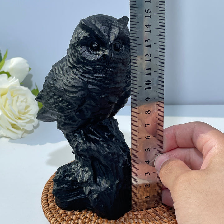 Obsidian Owl