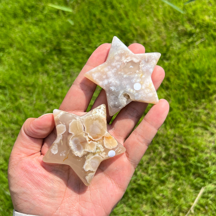 Flower Agate Star