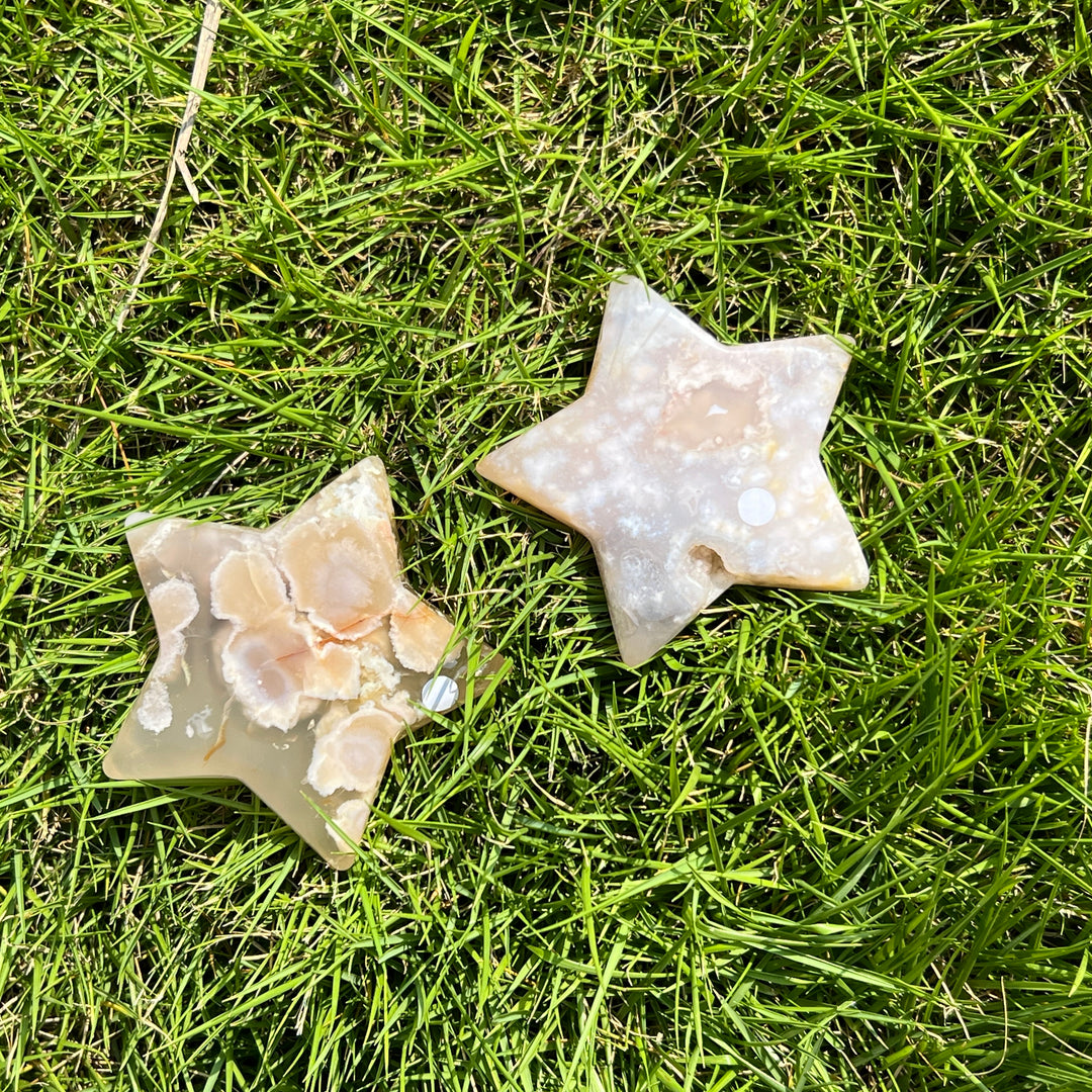 Flower Agate Star