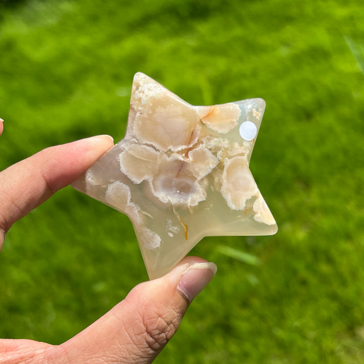 Flower Agate Star