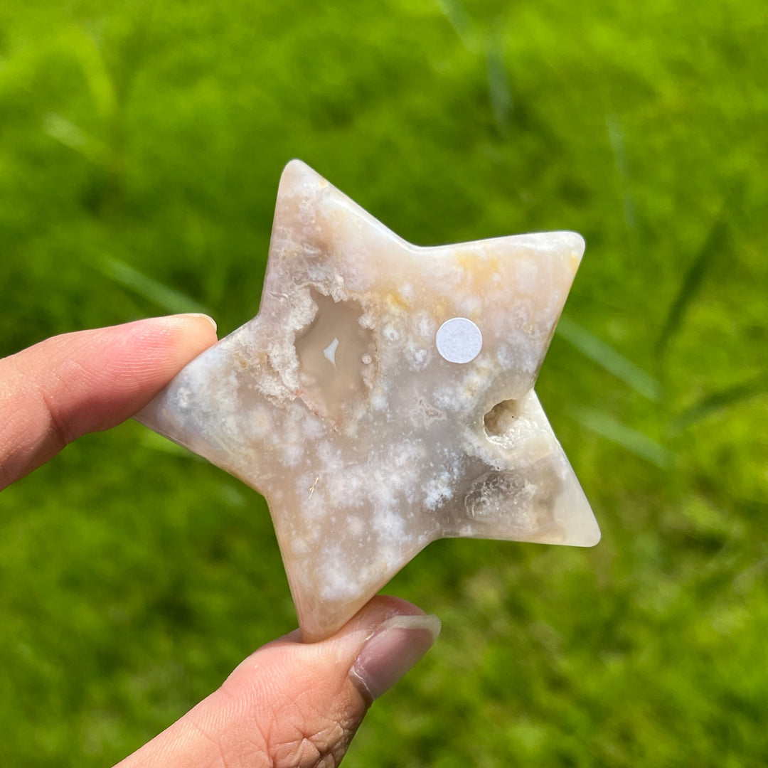 Flower Agate Star