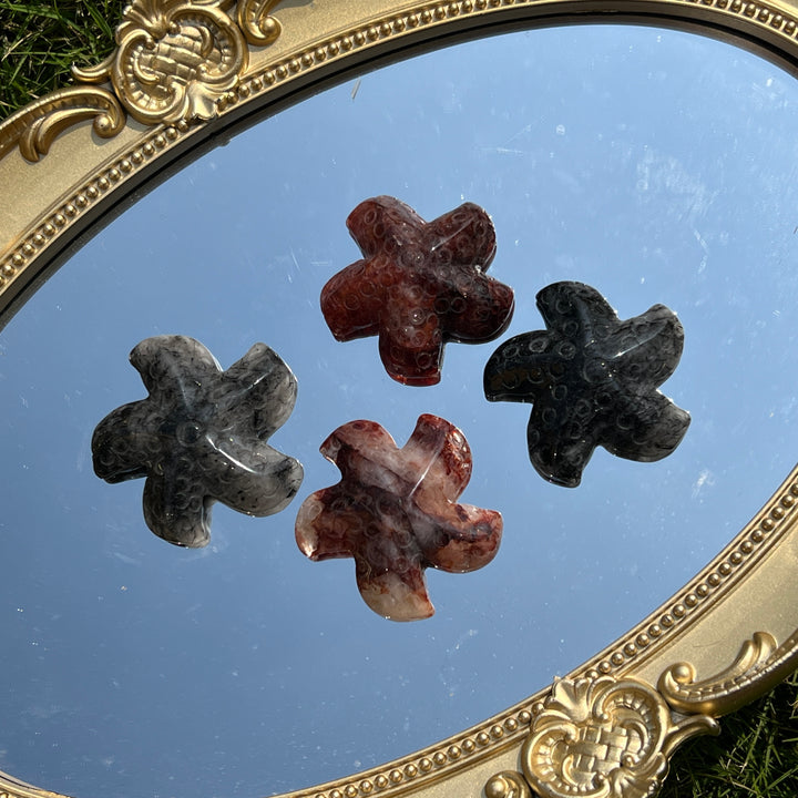 Natural Crystal Starfish