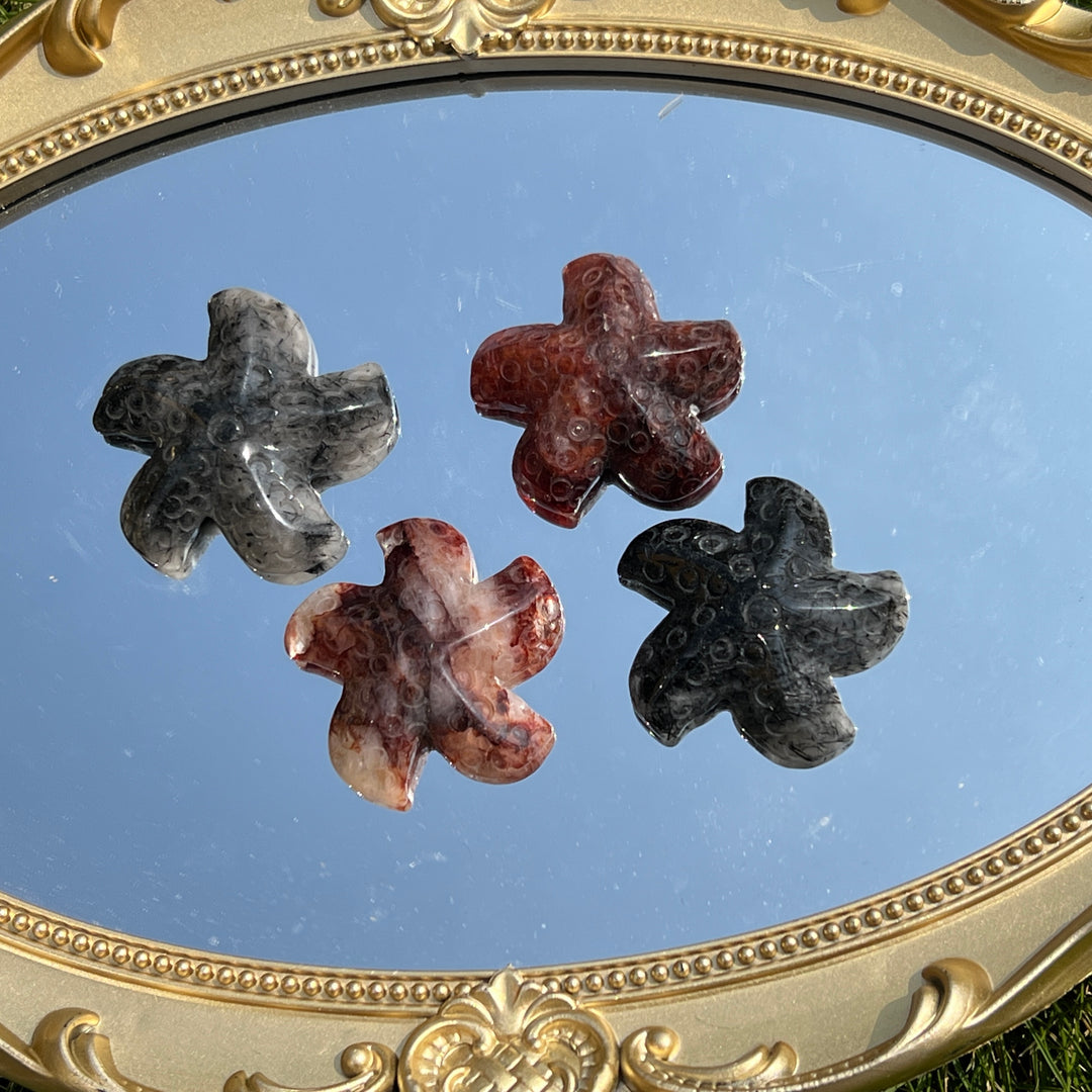 Natural Crystal Starfish
