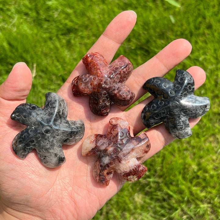 Natural Crystal Starfish