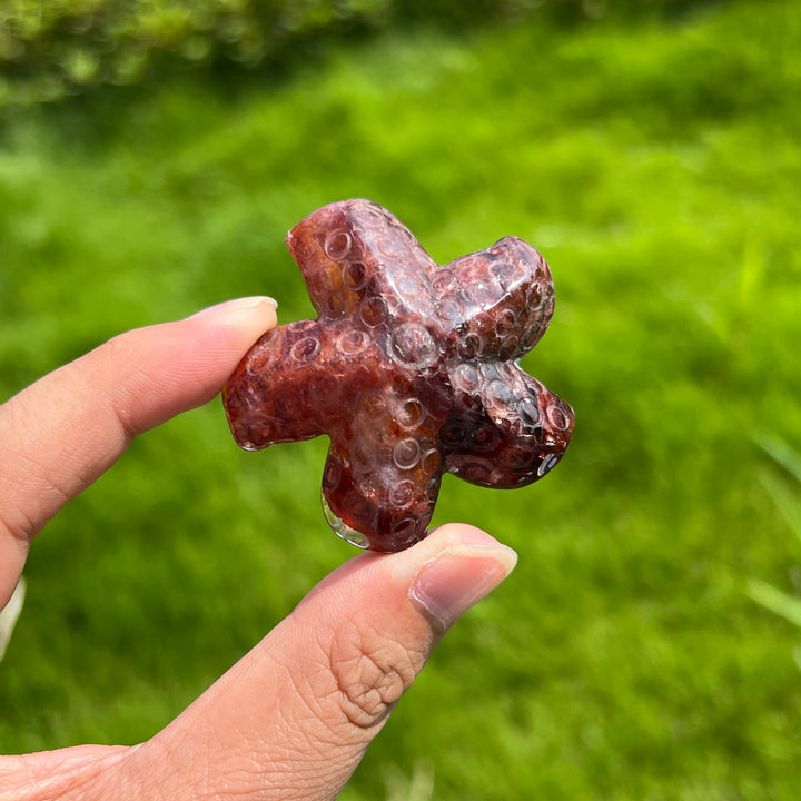 Natural Crystal Starfish