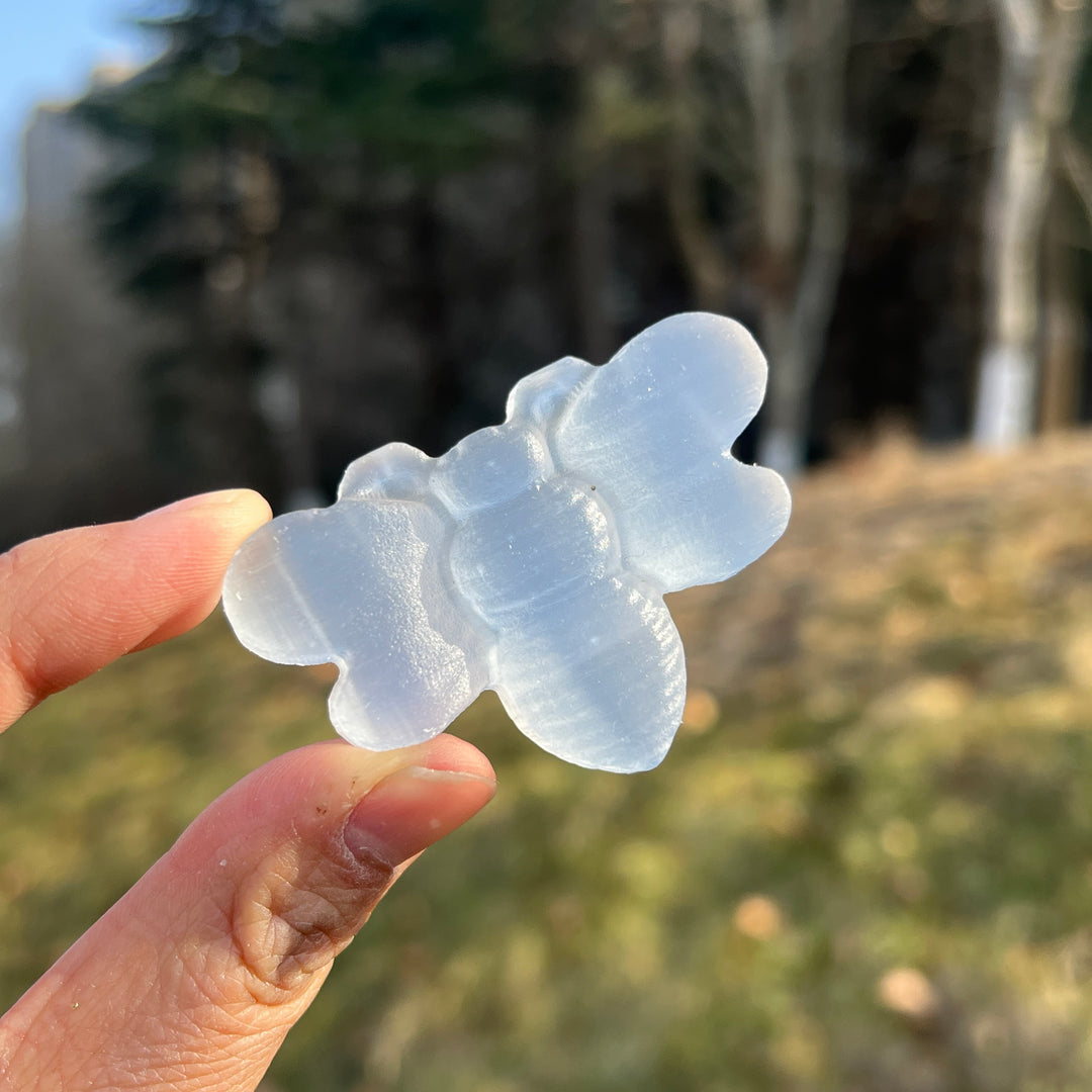 Natural Crystal Carving Selenite Bee