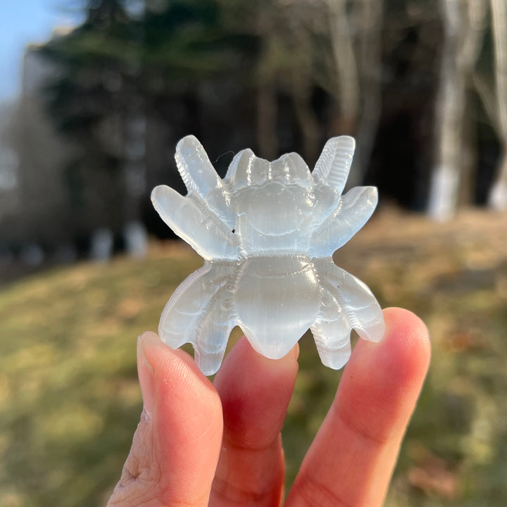 Natural Crystal Carving Selenite Spider
